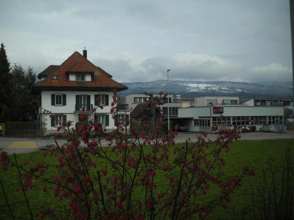 Příroda nedaleko bed and breakfast