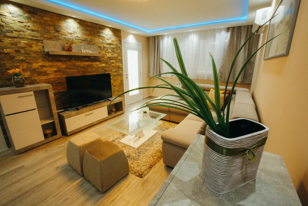 ein Wohnzimmer mit einer großen Pflanze in einem Topf in der Unterkunft Apartman Lazaro Cacak in Čačak