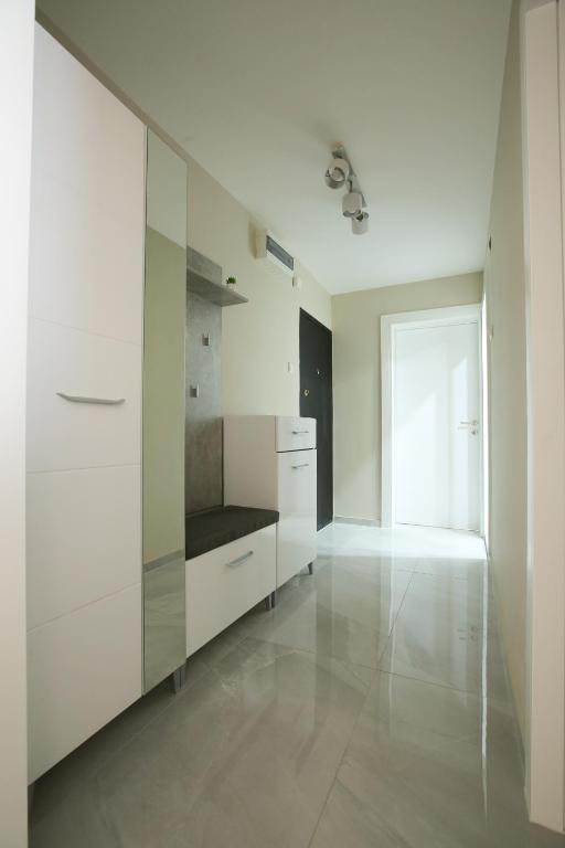 Η κουζίνα ή μικρή κουζίνα στο Apartman Lazaro Cacak