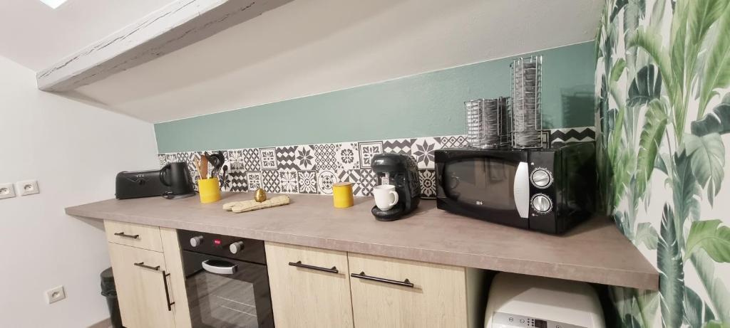 2 Charmants logements * CHARMANT GITE COLMAR * – photo 33