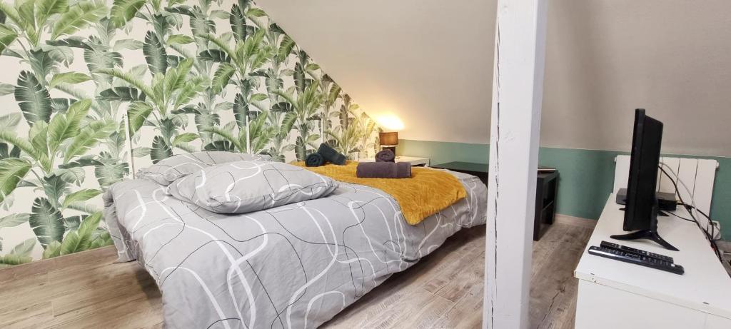 2 Charmants logements * CHARMANT GITE COLMAR * – photo 40