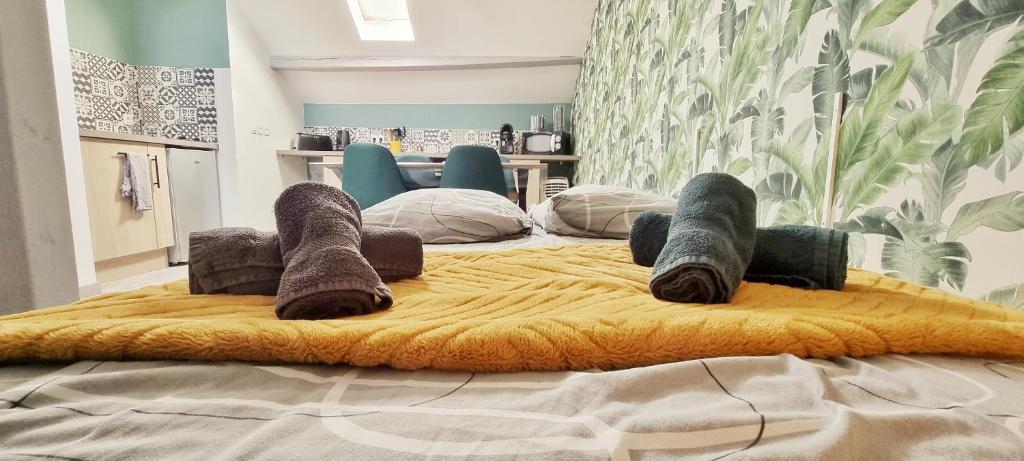 2 Charmants logements * CHARMANT GITE COLMAR * – photo 43
