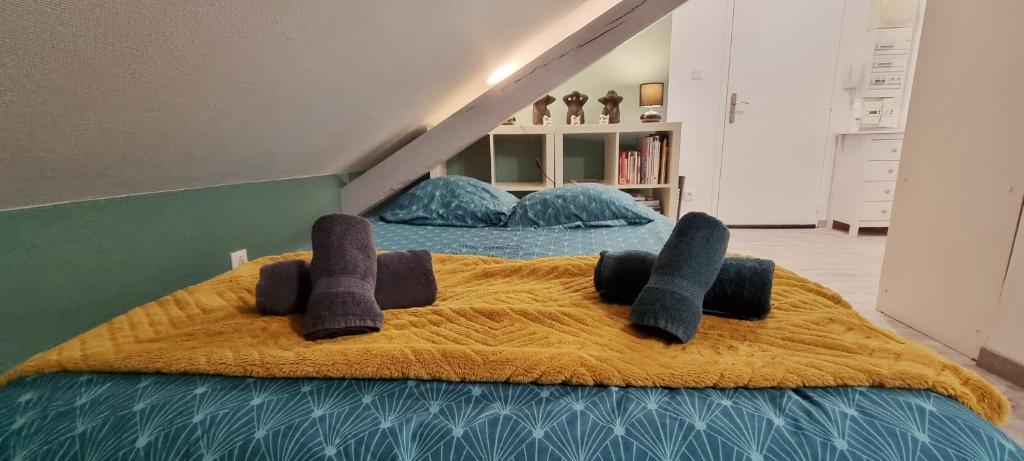 2 Charmants logements * CHARMANT GITE COLMAR * – photo 46