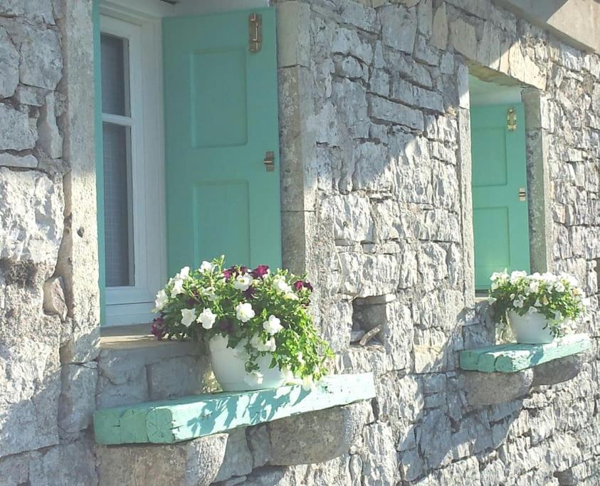 ein Fenster mit zwei Topfpflanzen an einer Steinmauer in der Unterkunft Charming house with stunning view in Arvanitakaíïka