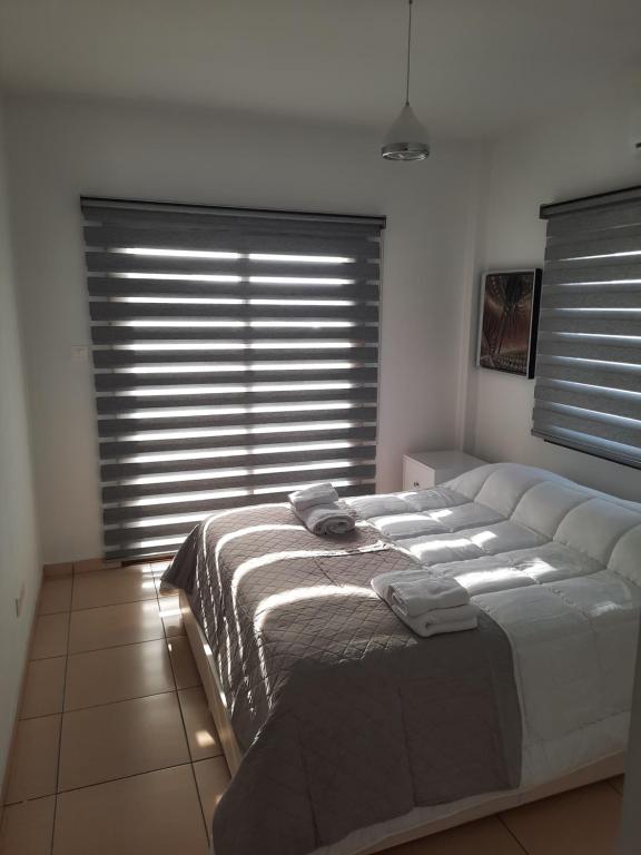 Luxury Apartment - Housity