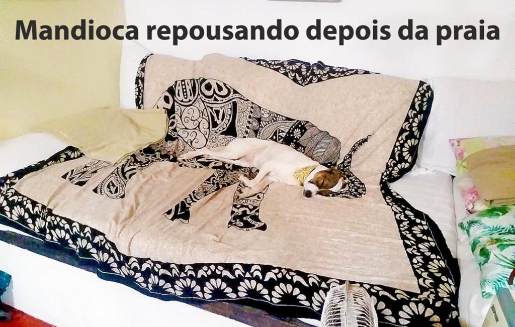 Ένα ή περισσότερα κρεβάτια σε δωμάτιο στο Casa na praia de Setiba com panorama fantástico