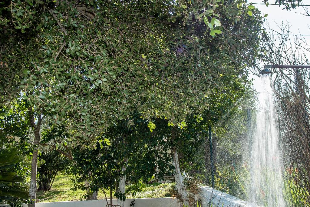 Ogród w obiekcie Villa Aelia - A Peaceful And Private Place