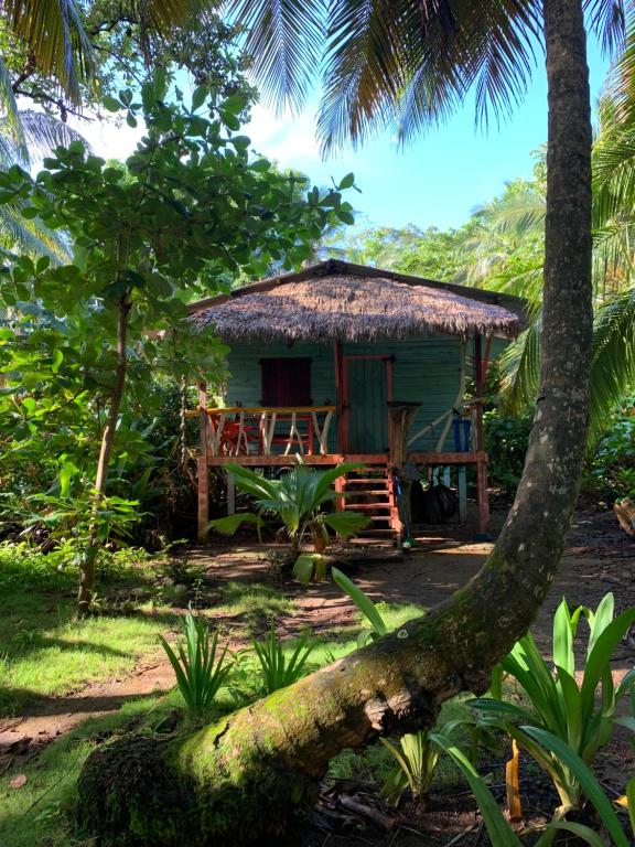 une petite maison verte avec un toit de chaume dans l'établissement ENSUEÑOS miskita house, à Little Corn Island