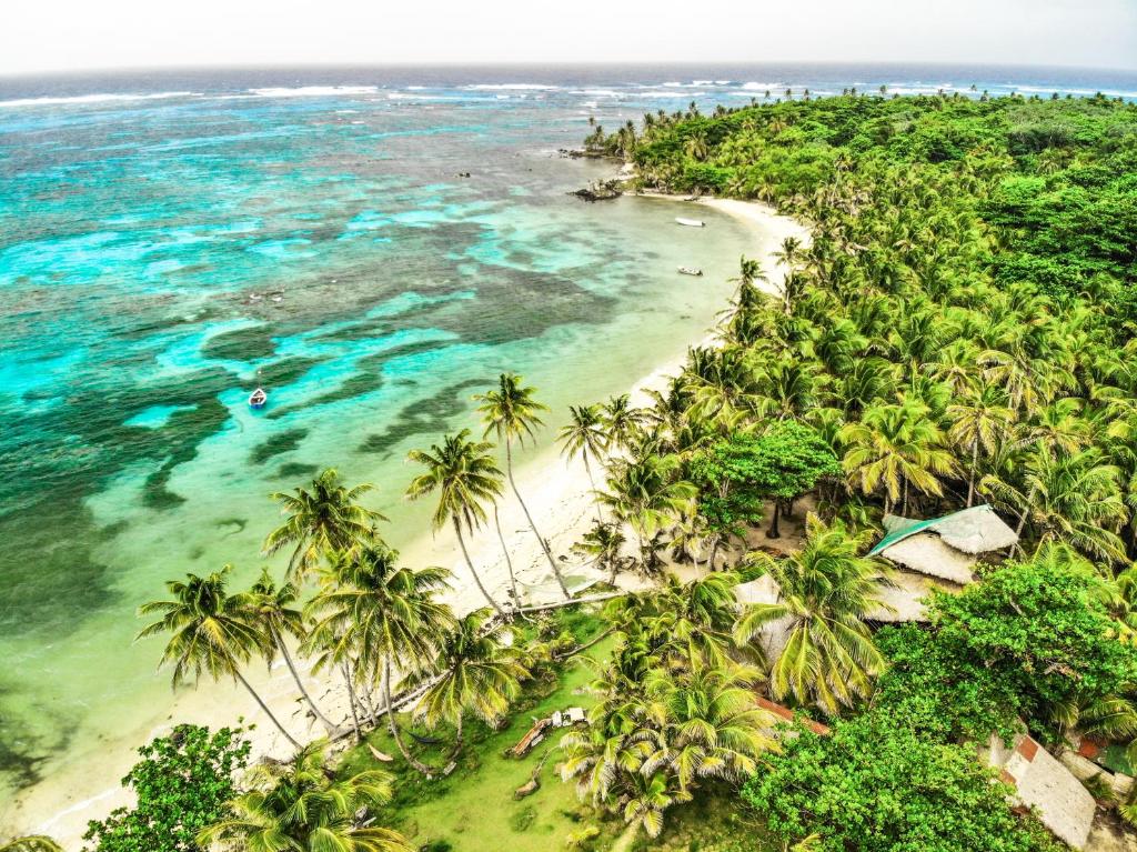 an aerial view of a beach with palm trees and the ocean at Ensueños big rooms in Little Corn Island