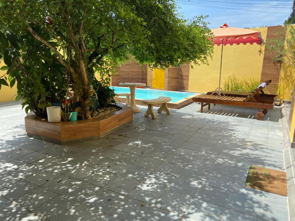 ein Pool mit einem Baum, einer Bank und einem Regenschirm in der Unterkunft Hostel Gratidão in Itanhaém