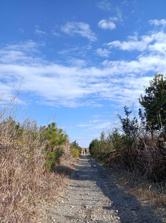 a dirt road with a blue sky and clouds at KAI Ichinomiya in Ichinomiya