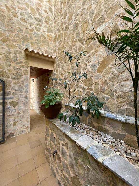 a stone wall with potted plants on a ledge at Hostal CAN GALLU in Cala Ratjada