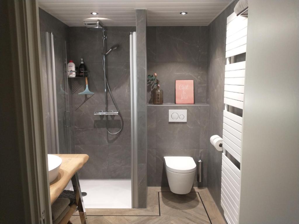 een badkamer met een douche, een toilet en een wastafel bij B&Bslapenopeeneiland in Kaag