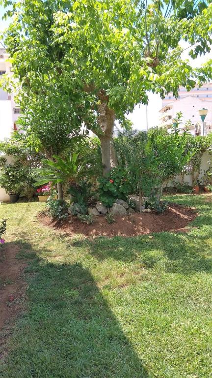 A garden outside PEÑISMAR FiNCAS VAN CAMP