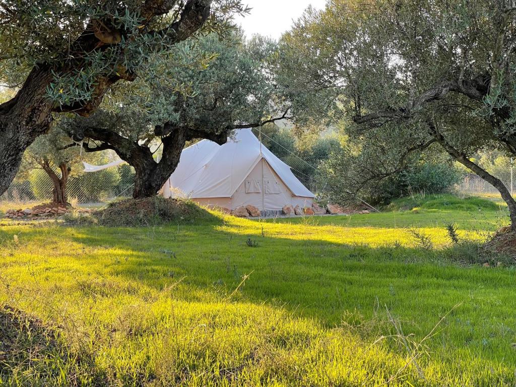 Zahrada ubytování Paraiso Bell Tent
