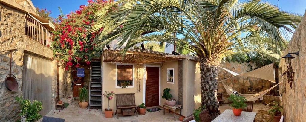 un palmier devant une maison avec des plantes dans l'établissement Tinyhouse im Patio einer romantischen Finca, à Grima