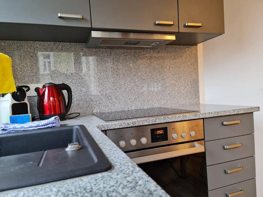 Cityappartement am Goethepark - Tek Yatak Odalı Daire