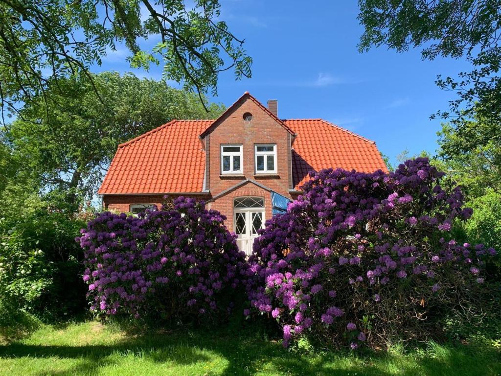 ein Haus mit lila Blumen davor in der Unterkunft Ferienwohnung auf dem Land in Garding