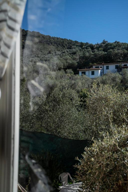 Fotografia z galérie ubytovania Borgo Antico - Casa risveglio del sole v destinácii Tellaro