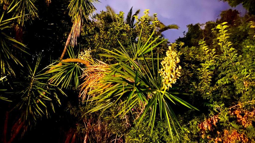 Ruda Lodge Exclusive Bed & Breakfast