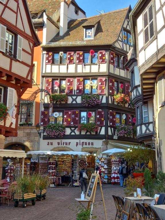 Colmar: studio dans le centre historique – photo 16