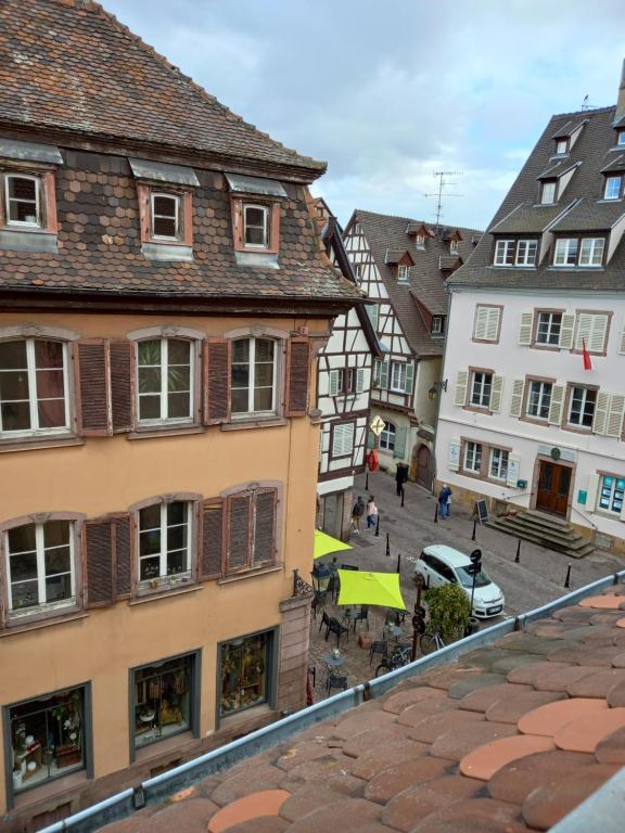 Colmar: studio dans le centre historique – photo 15