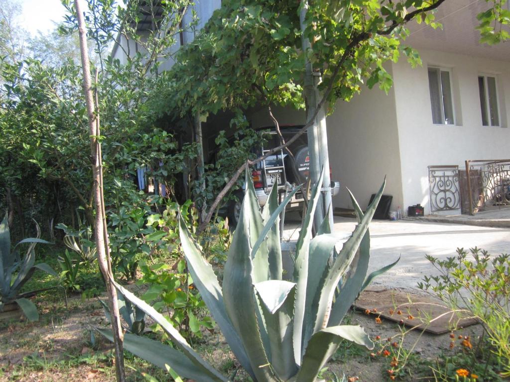 Zahrada ubytování Guest House Ukimerioni