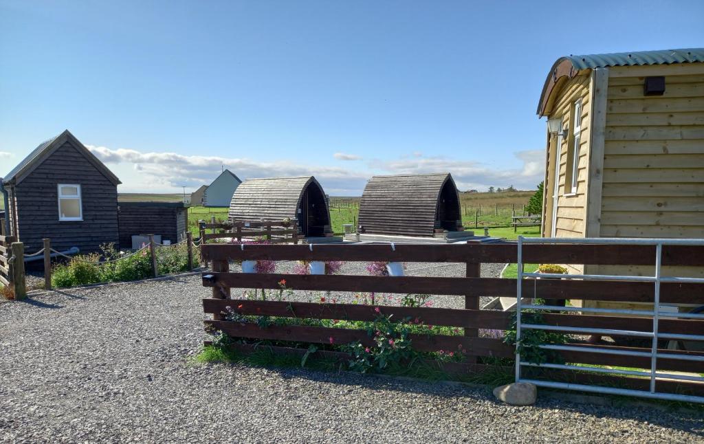 a fence with a row of huts in a field at Hillside Camping Pods and Shepherd's Hut in Wick
