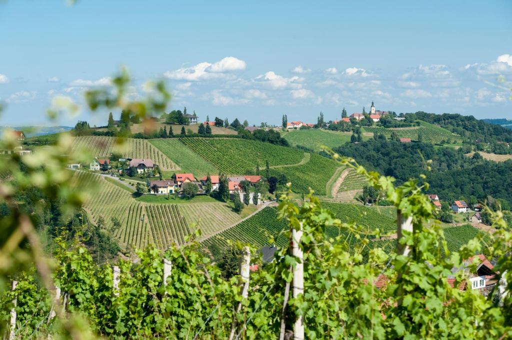 a vineyard in the mountains with a village on a hill at Weingut Schauer in Kitzeck im Sausal