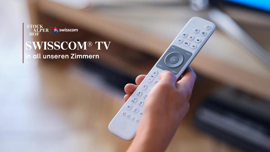 TV a/nebo společenská místnost v ubytování Hotel Stockalperhof