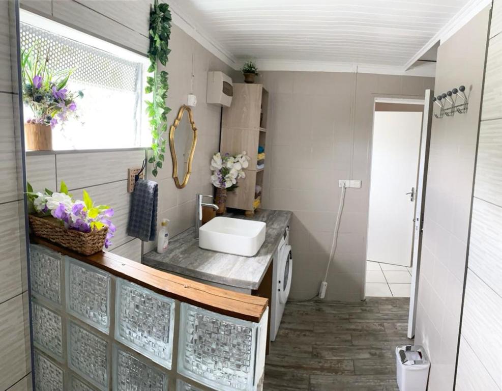 a bathroom with a sink and a toilet in it at Les tourterelles in Saint-Joseph