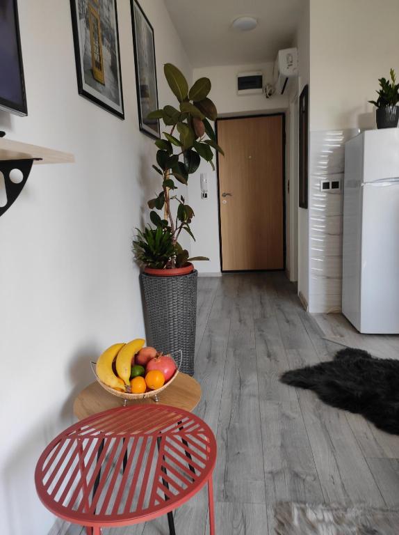 Köök või kööginurk majutusasutuses Cozy studio Cik-Cak