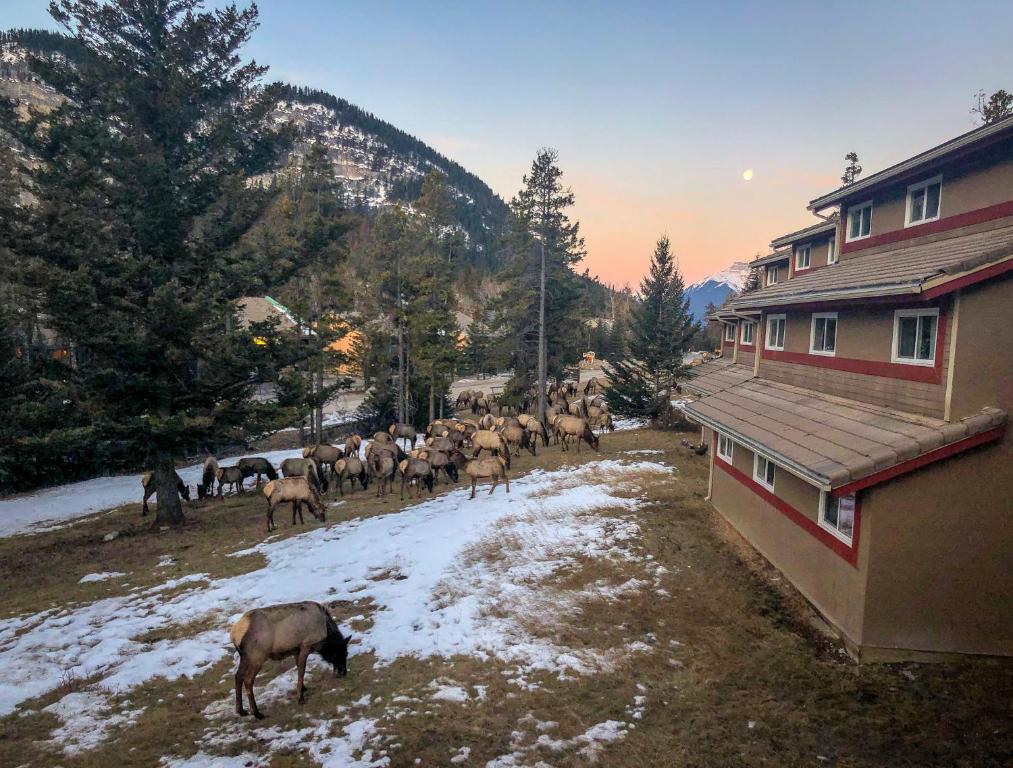 Un paisaje natural cerca del hostal