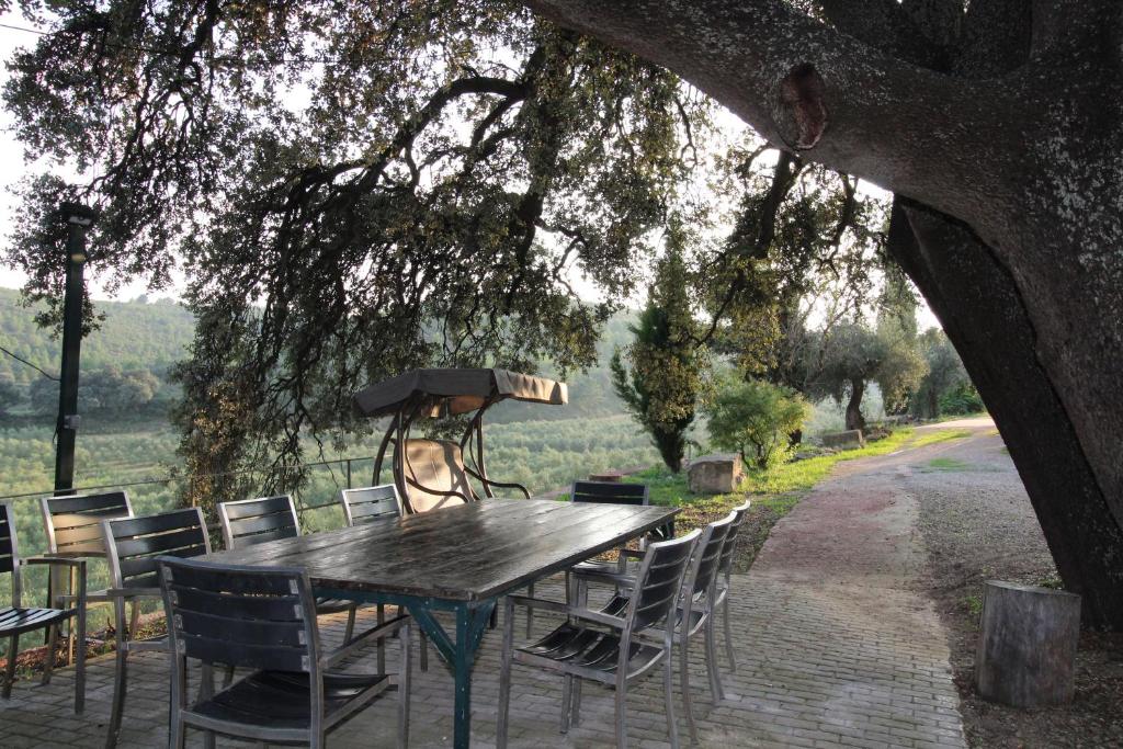 A garden outside Finca Heredad La Boquilla