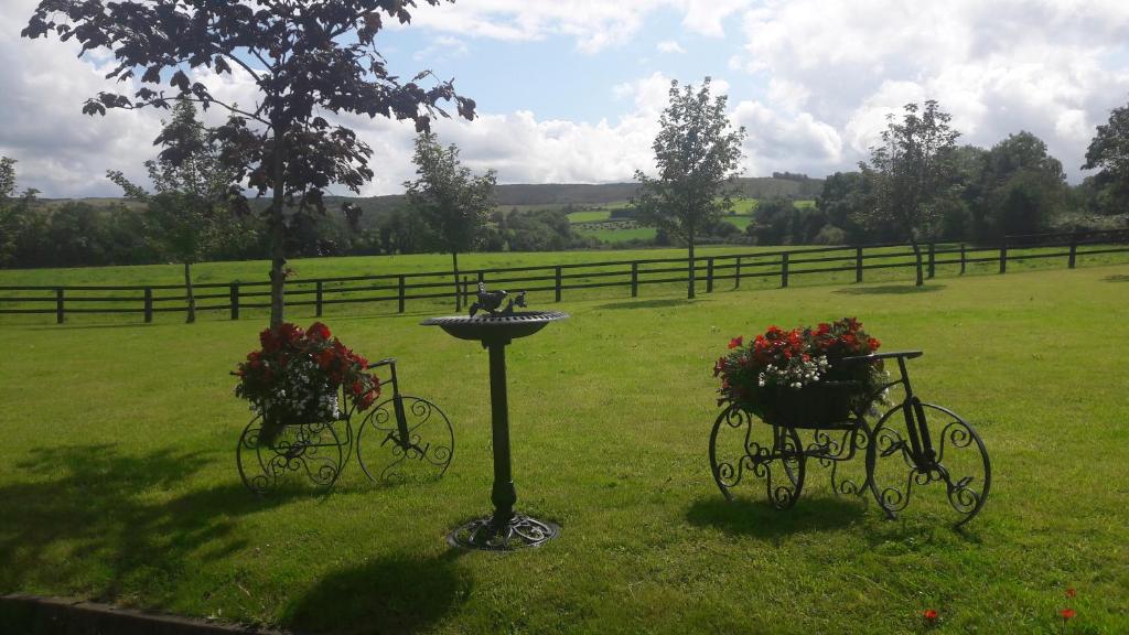 Fotografie z fotogalerie ubytování Bealkelly Country House v destinaci Killaloe