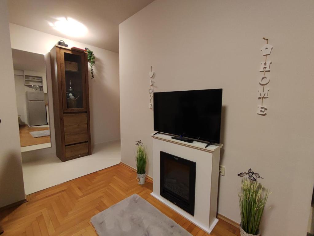 sala de estar con TV de pantalla plana sobre una chimenea en Studio Apartman Luka, en Zagreb