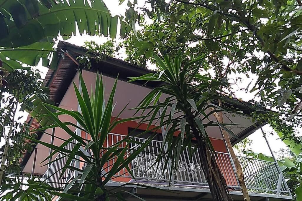 un edificio con balcón en medio de árboles en Hospedaje Rio Celeste Katira, Habitación privada, en San Rafael