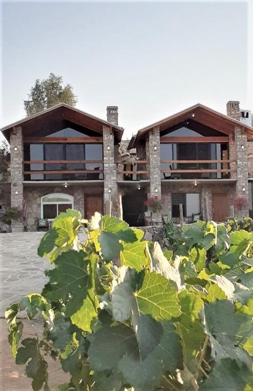 Villa Quinta Estrella