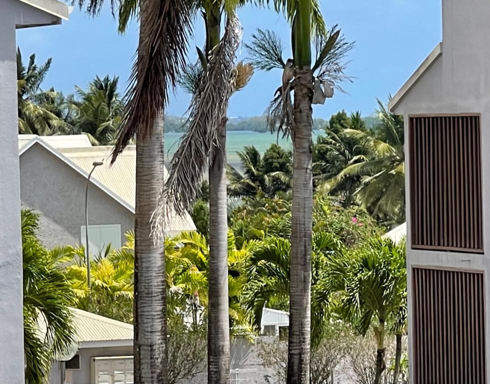 a view of the ocean from a house with palm trees at Jarry Entre Chien et Loup in Baie-Mahault