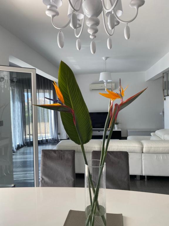 Amazing Villa with panoramic sea view - Villa Con Vista Sul Mare