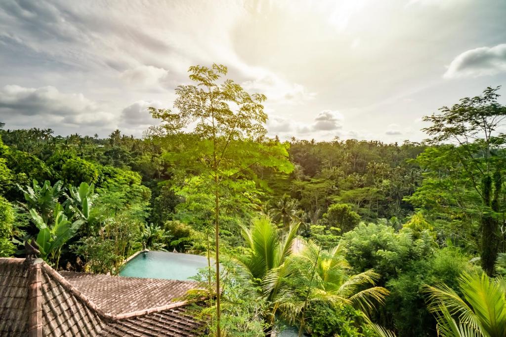 a resort with a swimming pool in the jungle at Magatama Villa by Mahaputra in Gianyar