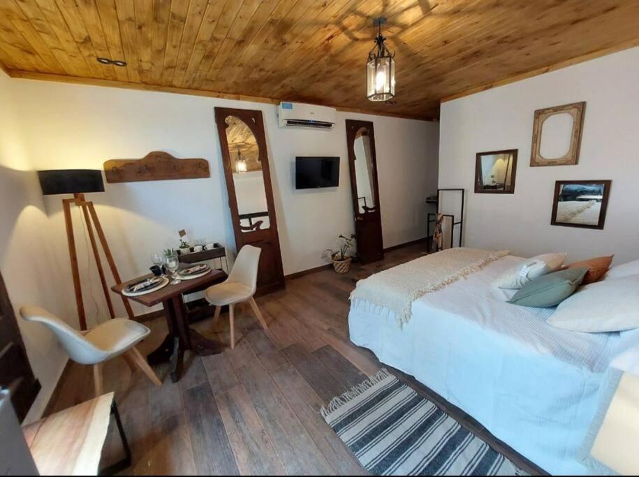 ein Schlafzimmer mit einem Bett, einem Tisch und einem Schreibtisch in der Unterkunft La Boutique Aparts Temporarios Corrientes Pleno centro in Corrientes