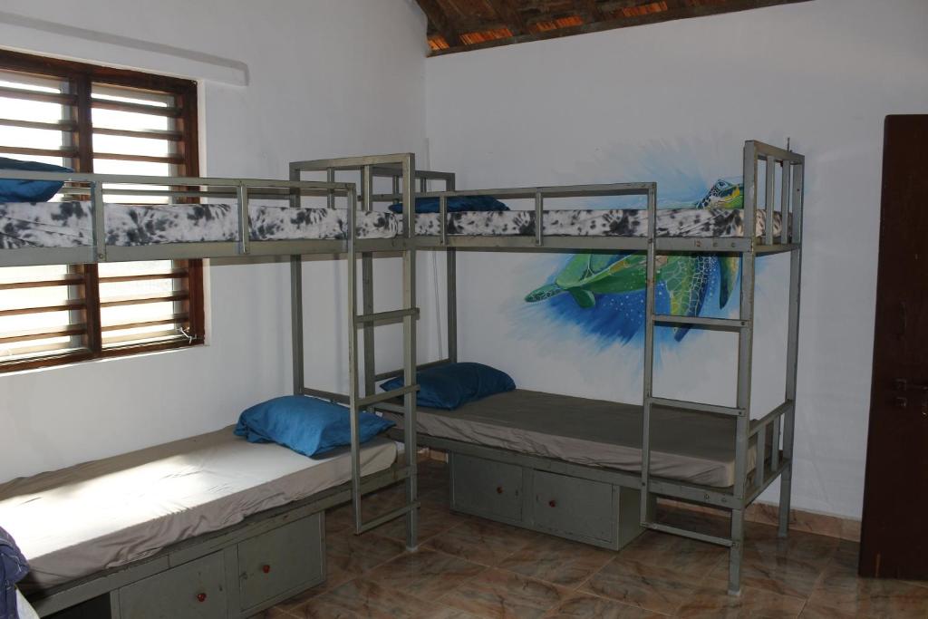Un pat suprapus sau paturi suprapuse la Tusker Tribe Hostel