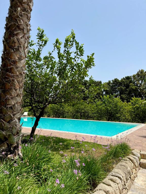 Bazén v ubytování Chiusa Di Carlo Agriturismo nebo v jeho okolí