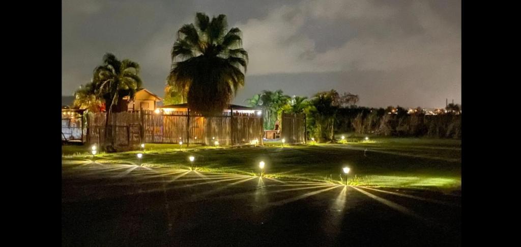 uma palmeira no meio de um parque de estacionamento à noite em Ariami Rose em Aguada