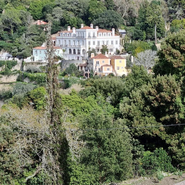 Quinta da Bella Vista, Private Historic Estate, Sintra - 7