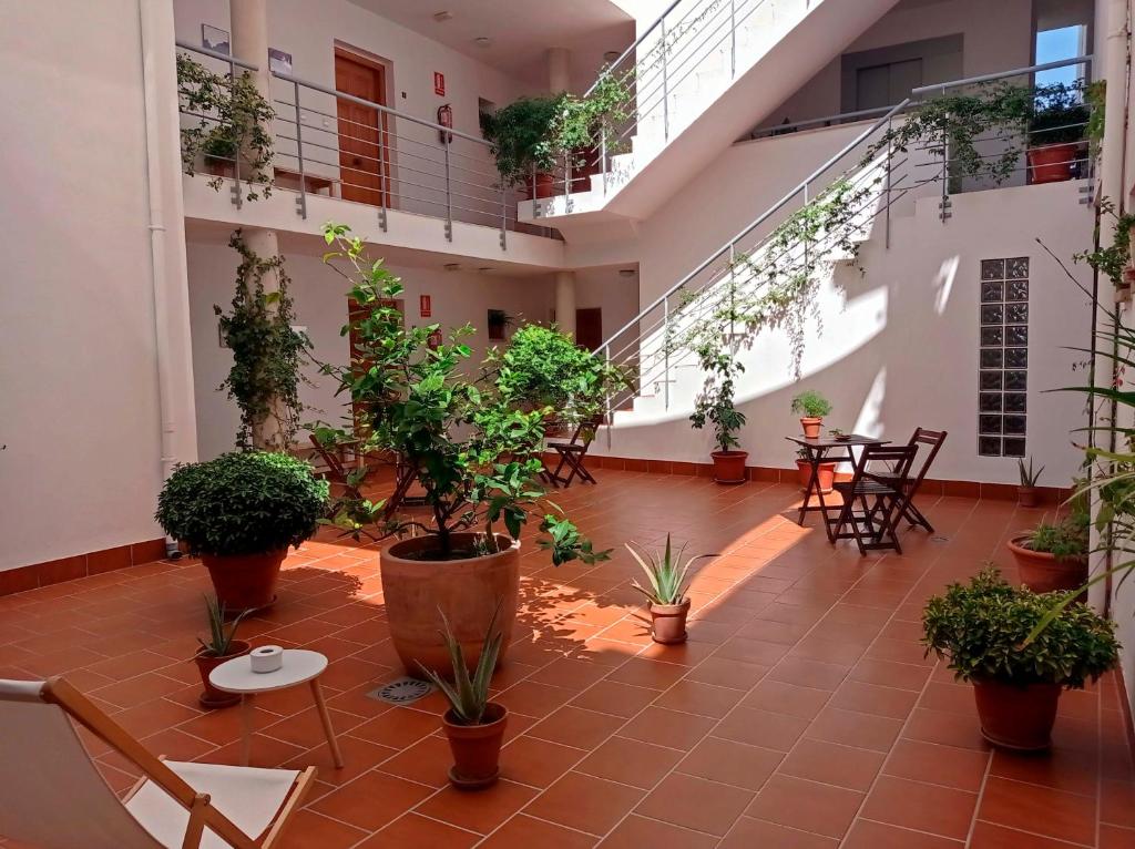 een binnenplaats met potplanten en tafels en stoelen bij Apartamentos entreRíos in Cazorla