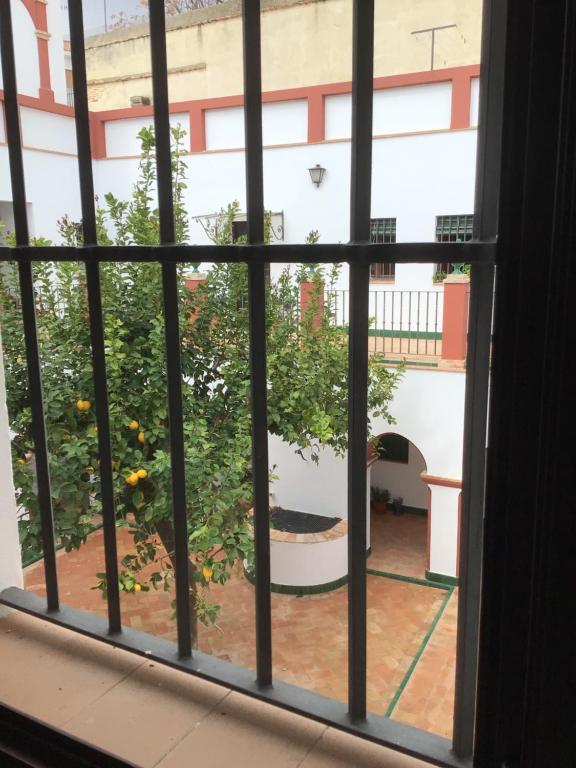 Booking.com: Apartamento Puerta Romana , Carmona, España - 19 ...