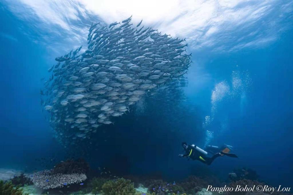Clients de Ultra Mint Dive Resort