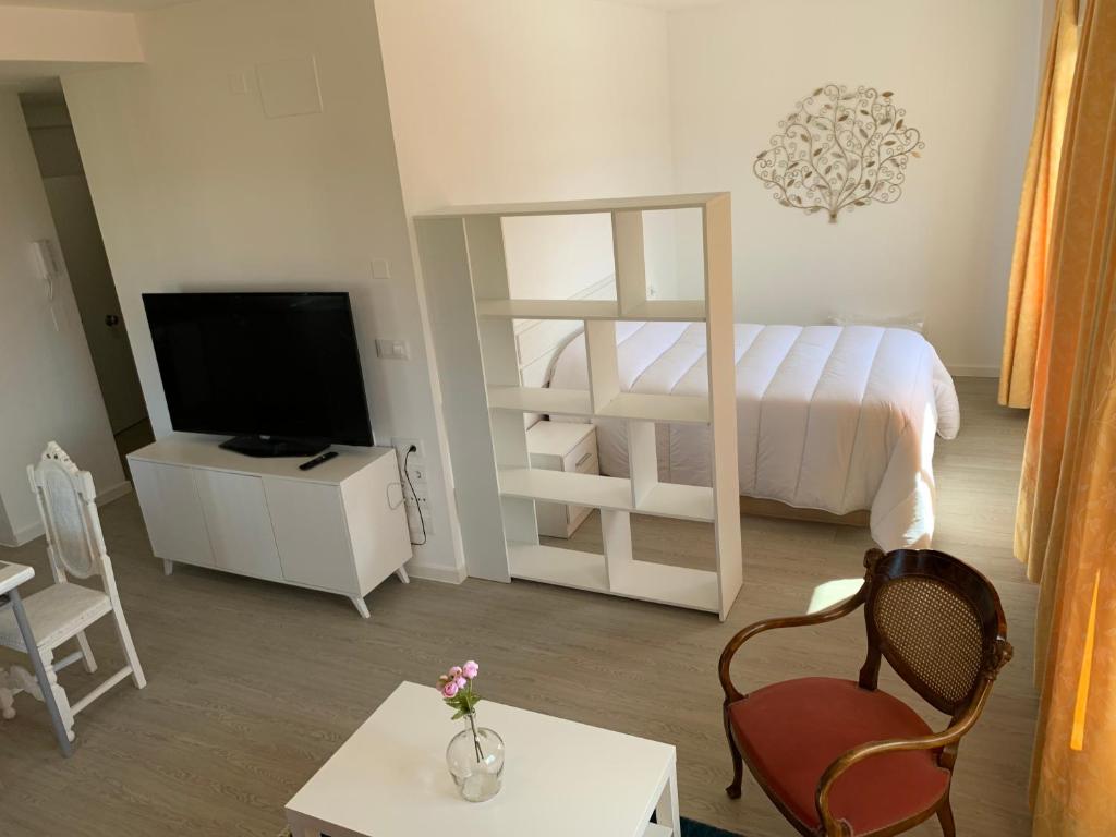 1 dormitorio con 1 cama, TV y mesa en Apartamentos Sanjuan en Porriño